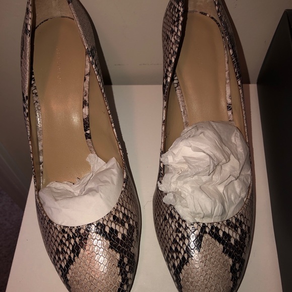 Ann Taylor Snakeprint Pumps - Picture 2 of 5